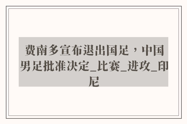 费南多宣布退出国足，中国男足批准决定_比赛_进攻_印尼