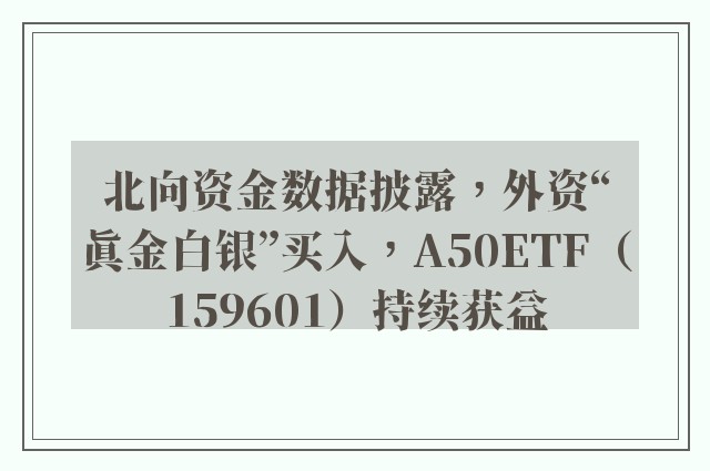 北向资金数据披露，外资“真金白银”买入，A50ETF（159601）持续获益