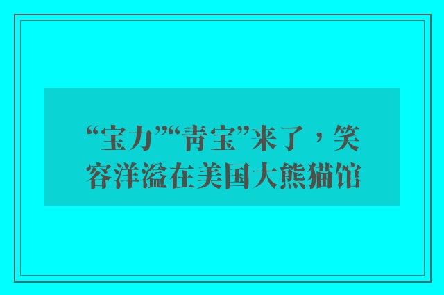 “宝力”“青宝”来了，笑容洋溢在美国大熊猫馆