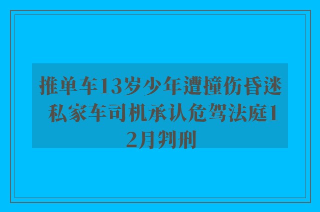 推单车13岁少年遭撞伤昏迷 私家车司机承认危驾法庭12月判刑