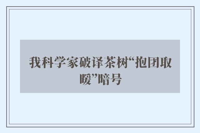 我科学家破译茶树“抱团取暖”暗号